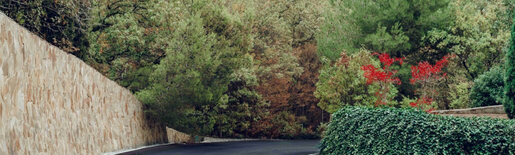picturesque-concrete-slope-walkway-with-plants-on-2025-02-25-20-07-07-utc_11zon