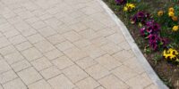 patterned-paving-tiles-cement-brick-floor-backgro-2025-01-08-02-49-20-utc_11zon